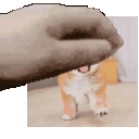 Cartoon Pet Pet Gif